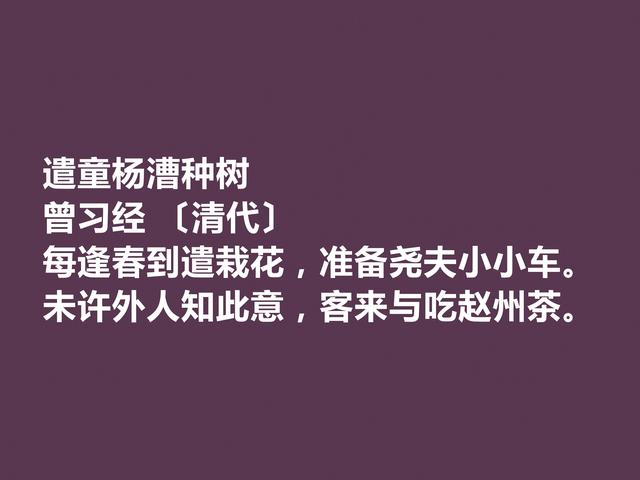 晚清名家曾习经诗，田园诗意境尤其唯美，情调闲适，值得品读