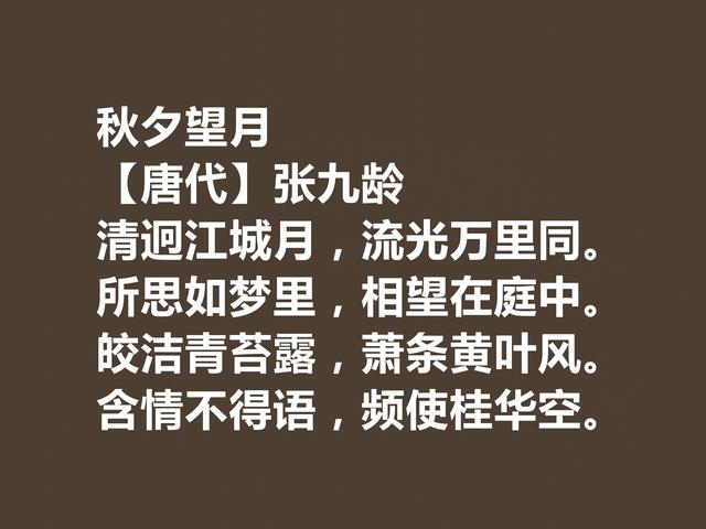 唐朝宰相诗人，张九龄诗作，体现超高的审美观，暗含深刻内涵