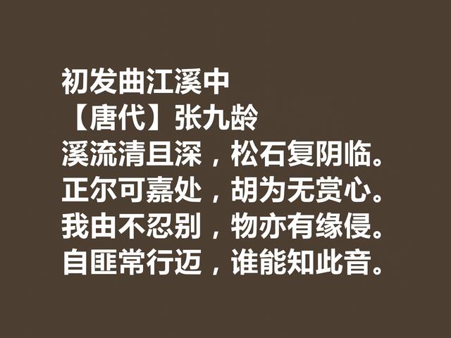 唐朝宰相诗人，张九龄诗作，体现超高的审美观，暗含深刻内涵