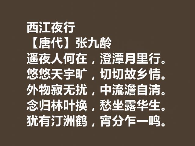 唐朝宰相诗人，张九龄诗作，体现超高的审美观，暗含深刻内涵