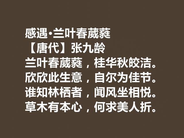 唐朝宰相诗人，张九龄诗作，体现超高的审美观，暗含深刻内涵