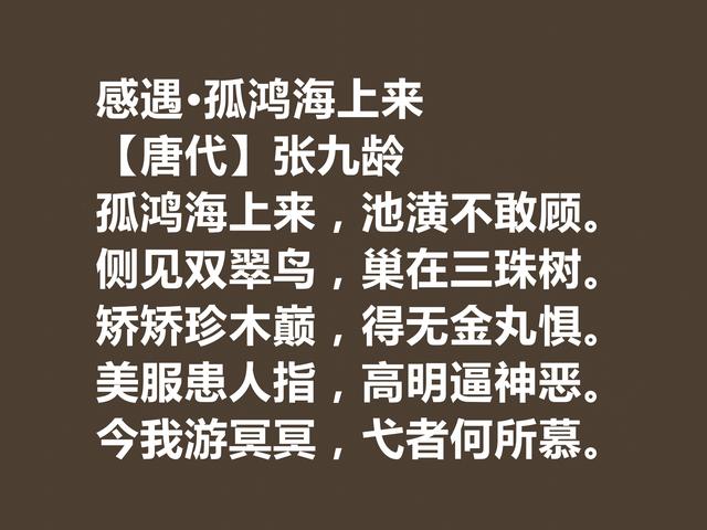 唐朝宰相诗人，张九龄诗作，体现超高的审美观，暗含深刻内涵