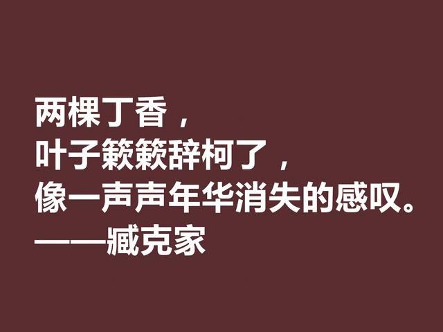 他的一生是一部我国新诗史诗，臧克家美句，透露浓厚的中国风