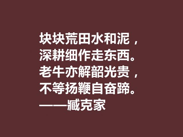 他的一生是一部我国新诗史诗，臧克家美句，透露浓厚的中国风