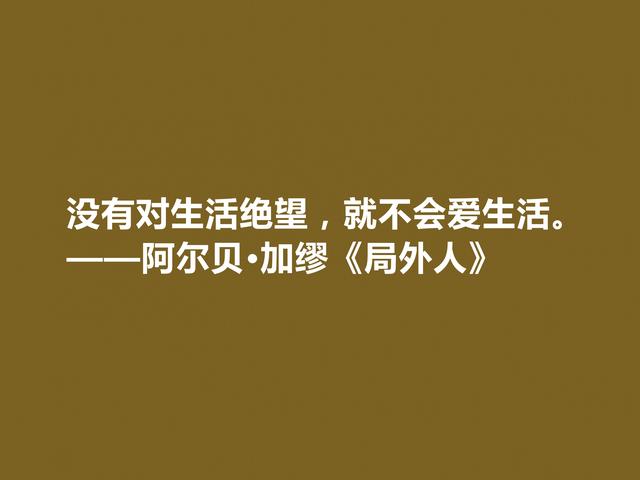 加缪最伟大的作品，《局外人》中格言，暗含深厚的人生哲学观