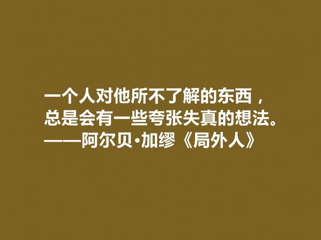 加缪最伟大的作品，《局外人》中格言，暗含深厚的人生哲学观