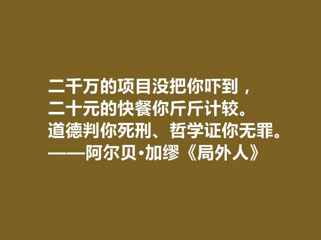 加缪最伟大的作品，《局外人》中格言，暗含深厚的人生哲学观