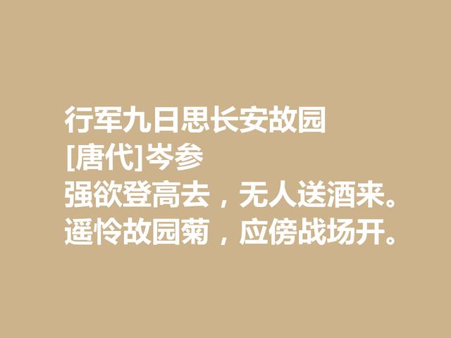 最爱岑参边塞诗，他的诗作，体现祖国边疆独特风情，值得品读