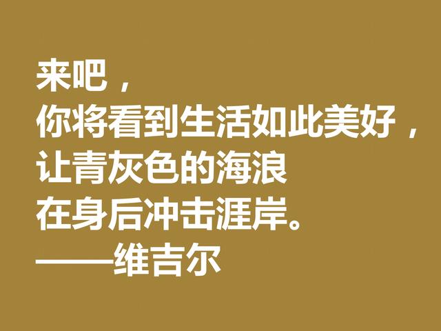 罗马大诗人维吉尔，他这诗句，诗风独特，哲理性强，值得深究