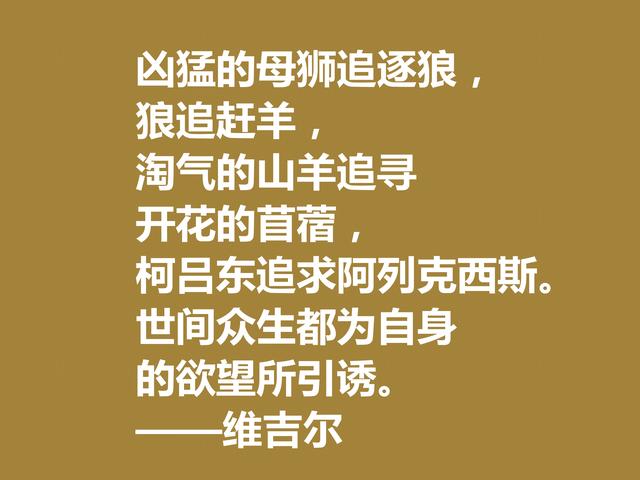 罗马大诗人维吉尔，他这诗句，诗风独特，哲理性强，值得深究