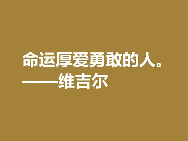 罗马大诗人维吉尔，他这诗句，诗风独特，哲理性强，值得深究