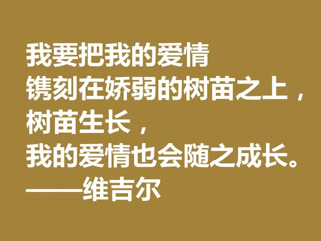 罗马大诗人维吉尔，他这诗句，诗风独特，哲理性强，值得深究