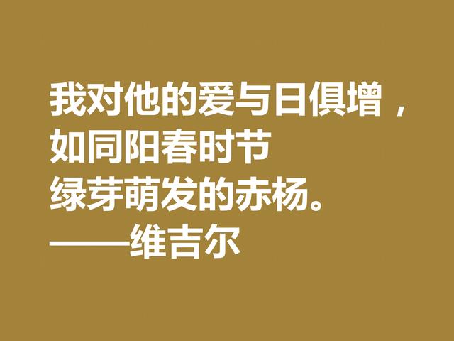 罗马大诗人维吉尔，他这诗句，诗风独特，哲理性强，值得深究