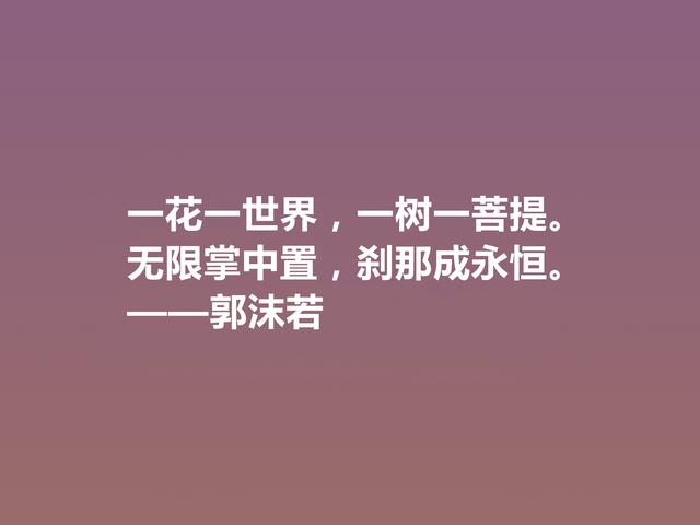 大文豪郭沫若，小说诗化堪称经典，细品他格言，读懂深受启发