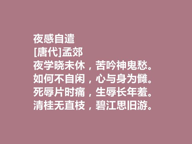 他是韩愈的好友，尤其擅长五言诗，唐朝诗人孟郊诗，个性十足