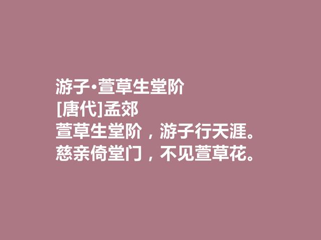 他是韩愈的好友，尤其擅长五言诗，唐朝诗人孟郊诗，个性十足