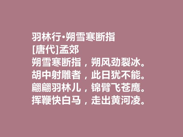 他是韩愈的好友，尤其擅长五言诗，唐朝诗人孟郊诗，个性十足