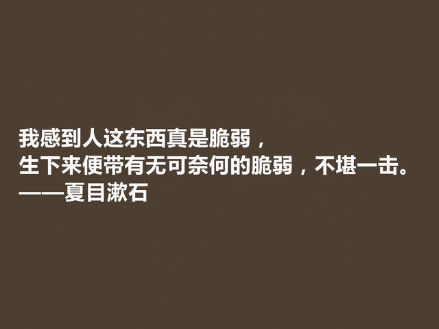 日本伟大的文学家，深悟夏目漱石格言，道理深刻，思想性超强