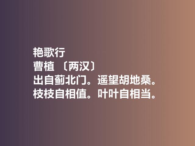 建安文学集大成者，曹植诗作，体现卓越才情，又流露英雄气概