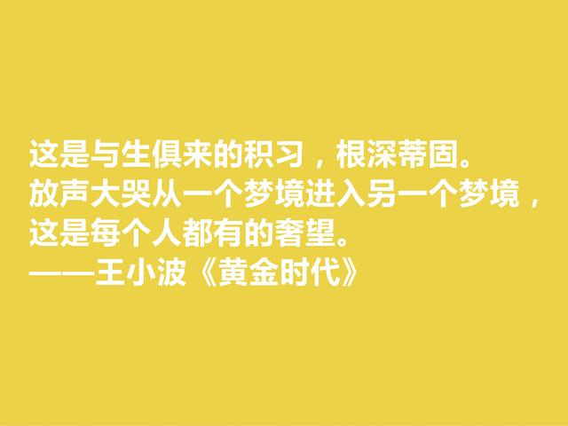 追忆王小波！小说《黄金时代》格言，凸显对人生与生命的追求