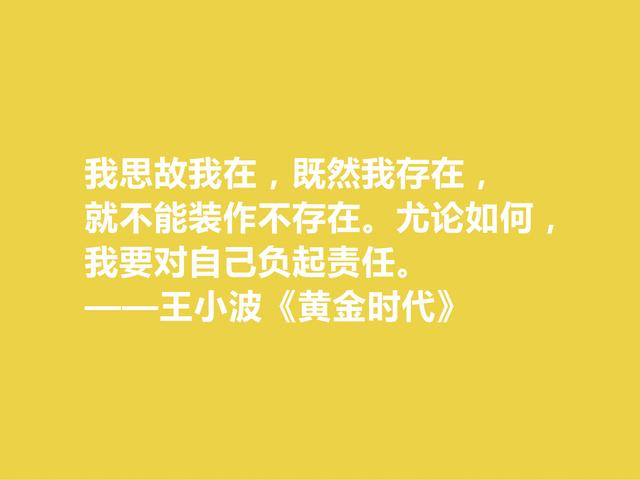 追忆王小波！小说《黄金时代》格言，凸显对人生与生命的追求