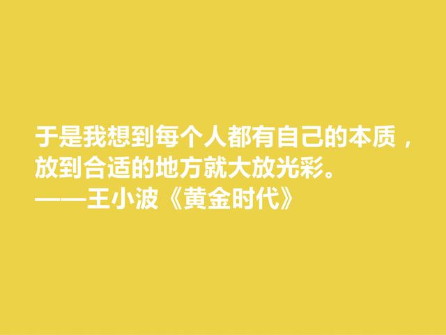 追忆王小波！小说《黄金时代》格言，凸显对人生与生命的追求