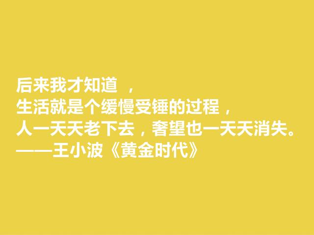 追忆王小波！小说《黄金时代》格言，凸显对人生与生命的追求