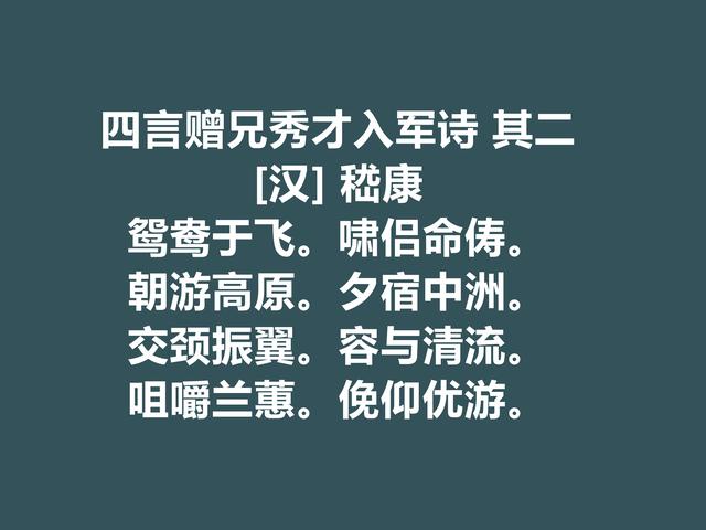 迎娶曹操重孙女，又是竹林七贤的核心，嵇康这诗暗含人生真谛