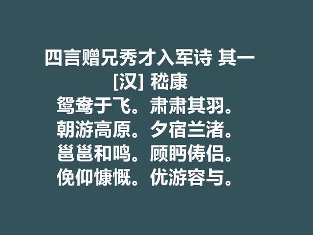 迎娶曹操重孙女，又是竹林七贤的核心，嵇康这诗暗含人生真谛