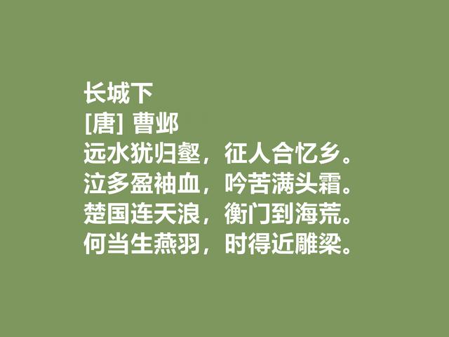 晚唐重要诗人，五言古风诗特立独行，细品曹邺这诗，魅力无限