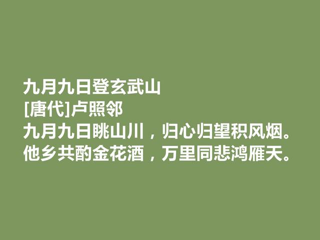 他是初唐诗人，十余年在病榻上写诗，这诗体现深刻的生命意义