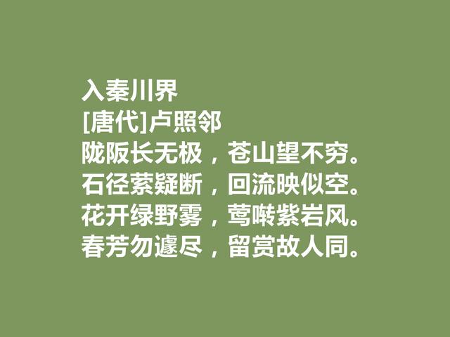 他是初唐诗人，十余年在病榻上写诗，这诗体现深刻的生命意义