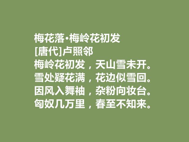 他是初唐诗人，十余年在病榻上写诗，这诗体现深刻的生命意义