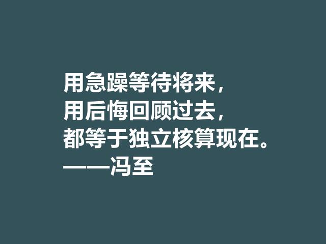 他一半是诗人，一半是哲人，冯至美言，暗含人生真谛