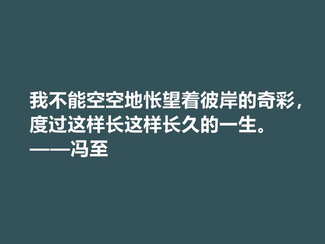 他一半是诗人，一半是哲人，冯至美言，暗含人生真谛