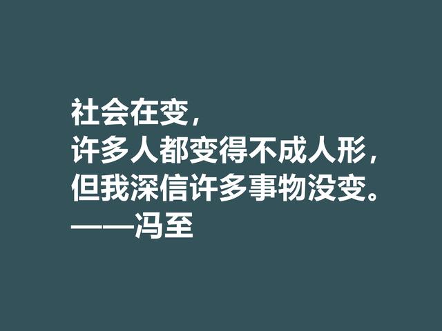 他一半是诗人，一半是哲人，冯至美言，暗含人生真谛