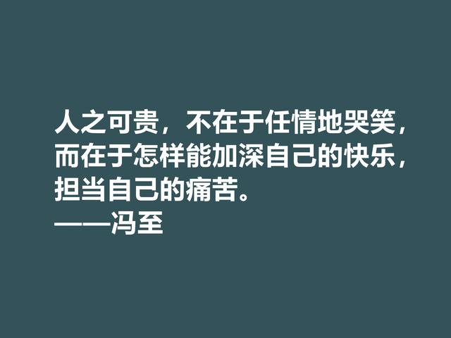 他一半是诗人，一半是哲人，冯至美言，暗含人生真谛