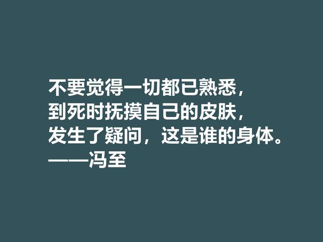 他一半是诗人，一半是哲人，冯至美言，暗含人生真谛