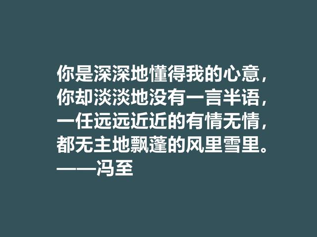 他一半是诗人，一半是哲人，冯至美言，暗含人生真谛