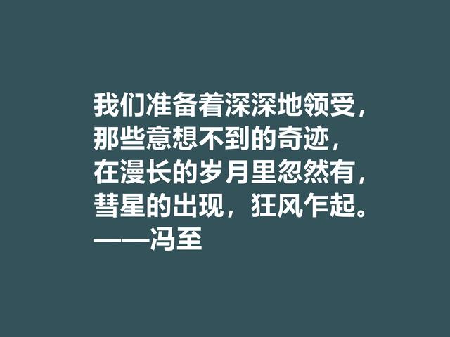 他一半是诗人，一半是哲人，冯至美言，暗含人生真谛