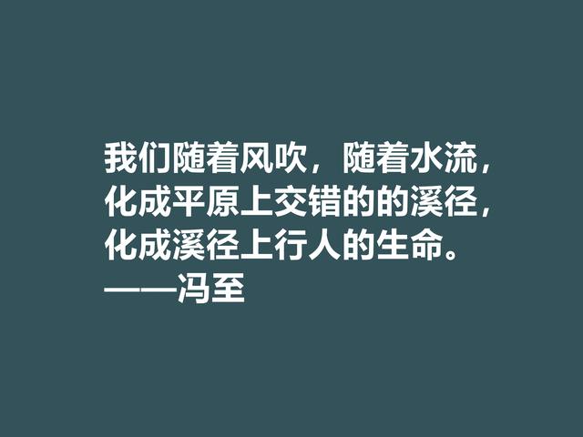 他一半是诗人，一半是哲人，冯至美言，暗含人生真谛