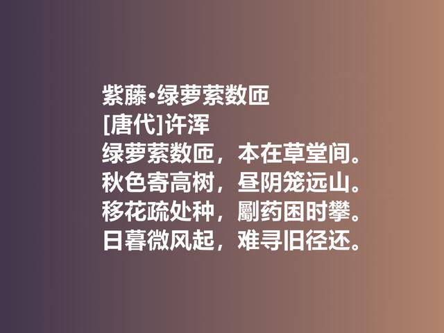 名声毁誉参半的晚唐诗人，许浑专写律诗，他这佳作，太经典了