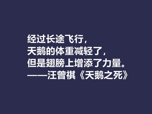 汪曾祺追求和谐美与生命本真，小说《受戒》体现最深，有启迪意义