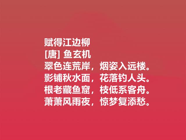 女神节必读好诗，这女诗人的诗词，情感复杂细腻，被震撼到了