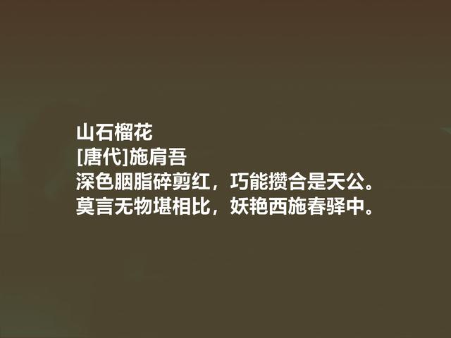 唐诗人施肩吾，一生经历9朝，他这诗，内涵深情感真，真精彩