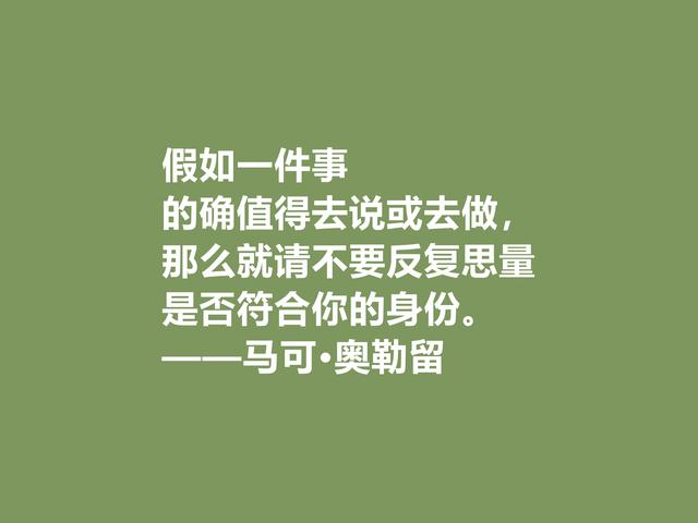 罗马帝国贤君，又是哲学家，马可·奥勒留格言，读懂净化心灵