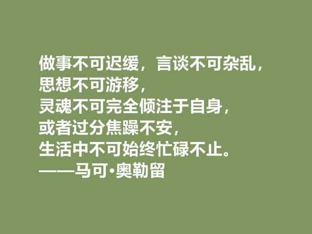 罗马帝国贤君，又是哲学家，马可·奥勒留格言，读懂净化心灵