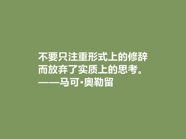 罗马帝国贤君，又是哲学家，马可·奥勒留格言，读懂净化心灵