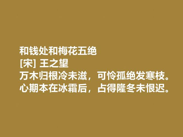 他是被历史埋没的诗人，南宋王之望诗，体感闲适放松，真美好