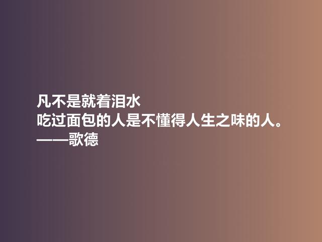 伟大的西方诗人，抒情诗绝美，歌德美言，暗含浓烈的人生真谛